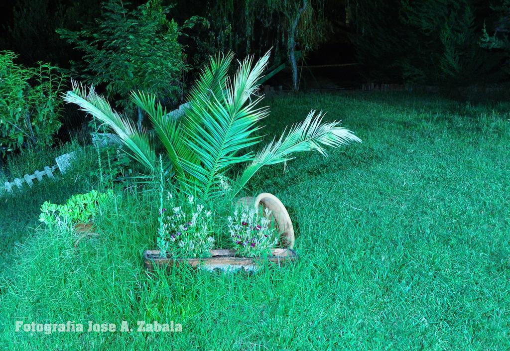 Casa Rural Los Parrales El Tranco エクステリア 写真